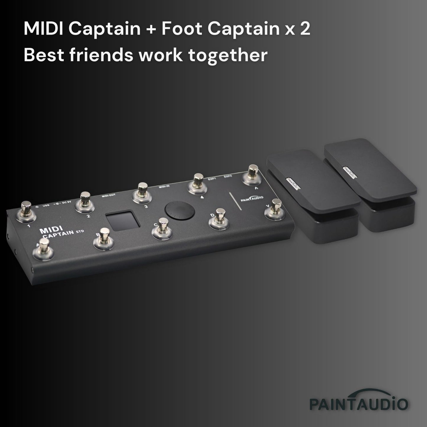 Foot Captain Expression Pedal Tip/Ring Dual Outputs