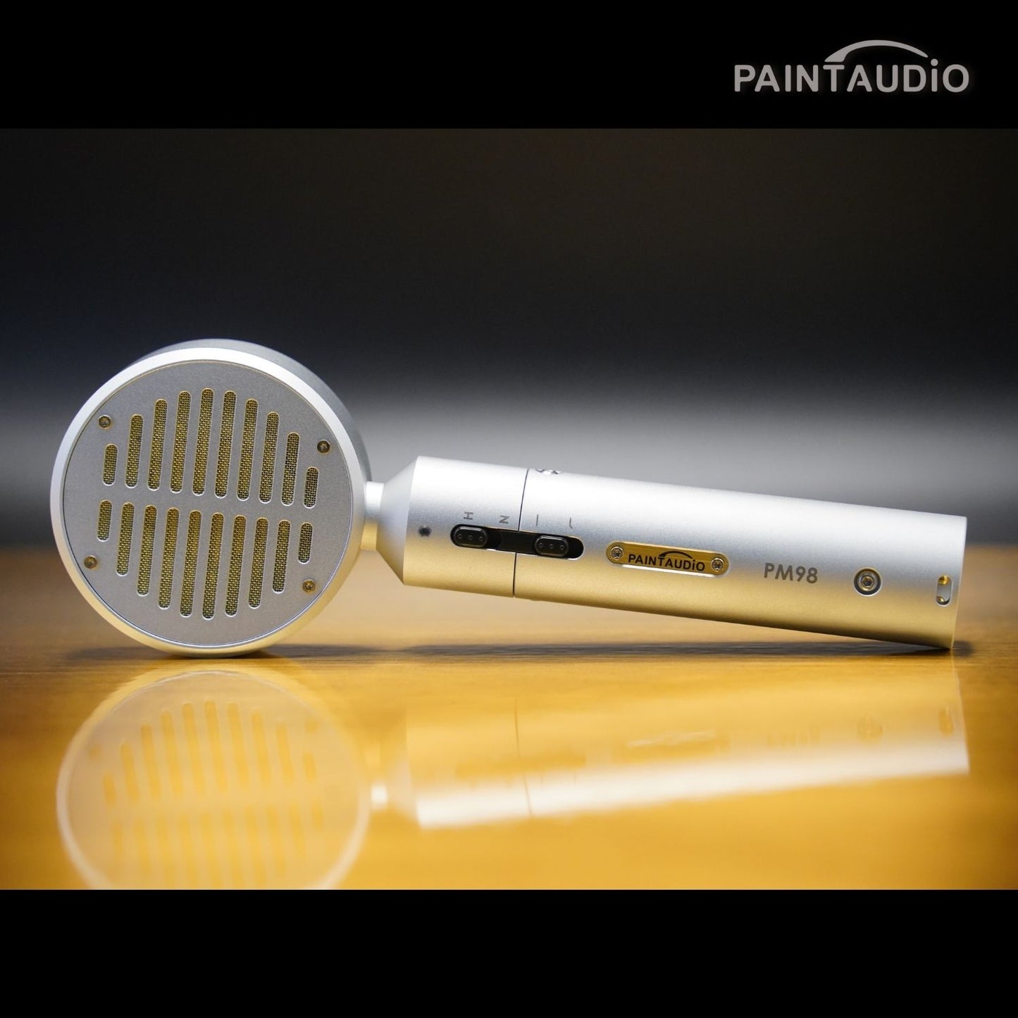 PaintAudio Condenser Microphone PM98